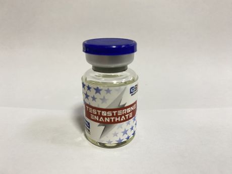 Testosterone Enantate 250 mg/ml 10 ml/vial | GSS Labs