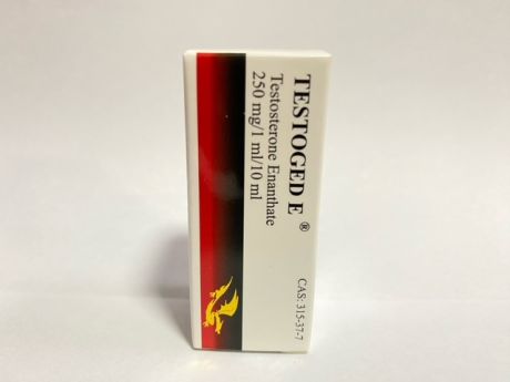 Test-e 250 mg/ml 10 ml/vial (Testosterone Enantate) | Golden Dragon