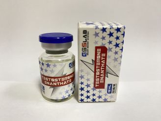 Testosterone Enantate 250 mg/ml 10 ml/vial | GSS Labs